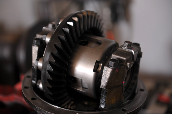 120617 kuma3 DSC_7177.jpg